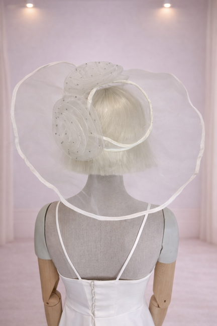 XANADU Archive N°77