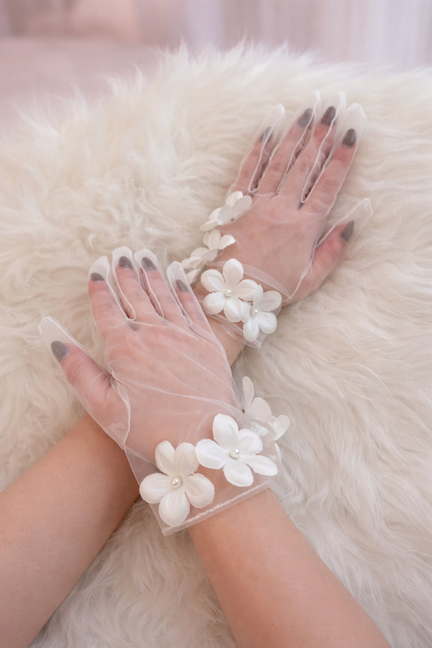 XANADU Archive N°80