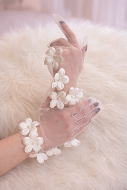 XANADU Archive N°80